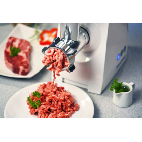 best buy meat grinder