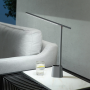 Baseus Smart Eye folding desk lamp rechargeable (grey)