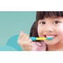 FairyWill Sonic toothbrush with head set FW-2001 (Blue/Yellow)