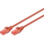 Introducing the Digitus Ethernet Cable CAT6 Red CU 0.25m – Unleash the power of high-performance networking with this top-tier E