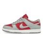 Nike Dunk Low QS