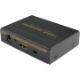 DigitMX DMX-CHHS2 HDMI Converter with Audio