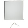 AV:Link 100" Projector Screen with Tripod