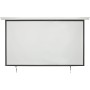 AV:Link 100-inch Electric Projector Screen