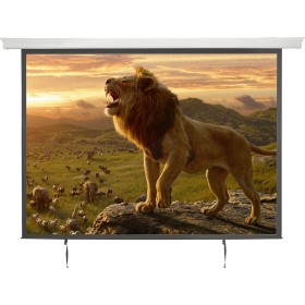 AV:Link Electric Screen 100" with Remote Control