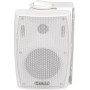 Adastra 100V Indoor Speaker