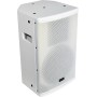 Citronic CUBA-10W Full-Range Speaker