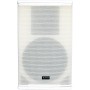 Citronic CUBA-10W Full-Range Speaker