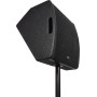 Citronic CM12 12'' Passive Wedge Monitor