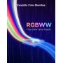 Govee LED Light Strip RGBICWW with Smart Features