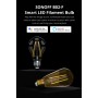 Sonoff B02-F-ST64 WiFi Smart Filament Bulb