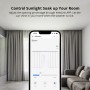 Sonoff ZigBee ZBCurtain with Remote