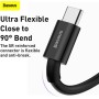 Baseus Superior Series USB to Type-C 66W 2m Black