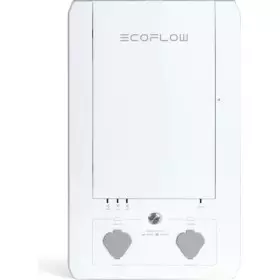 EcoFlow DELTA PRO Smart Home Panel Integration