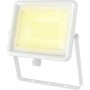 GBC ON NIGHTUNE 50W Outdoor LED Floodlight