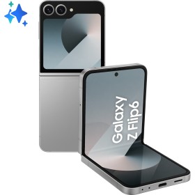 Samsung Galaxy Z Flip6 F741B 5G in Silver Shadow